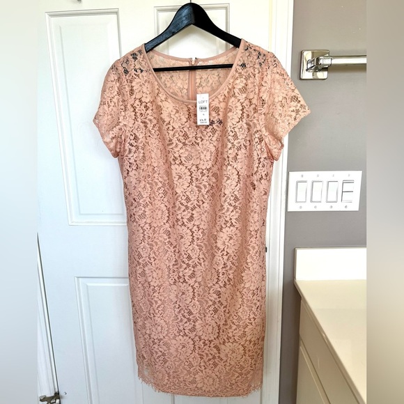 NWT Ann Taylor Loft Eyelash Lace Pink Sheath Dress Mini Above Knee - Picture 2 of 6